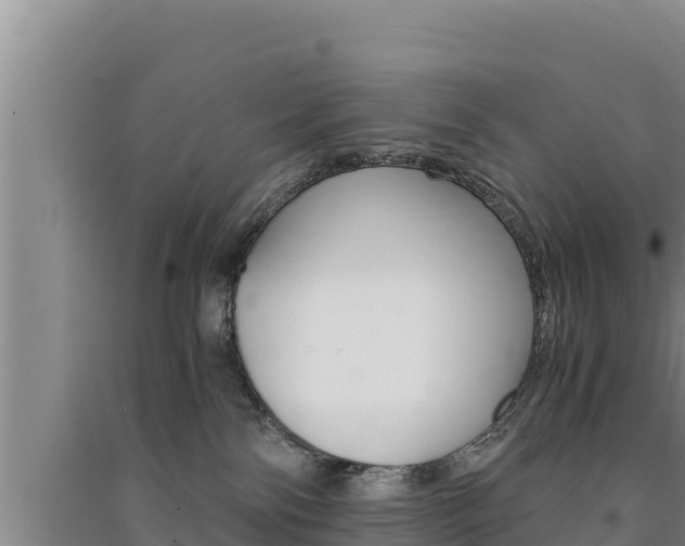 X0000091520138200708171018