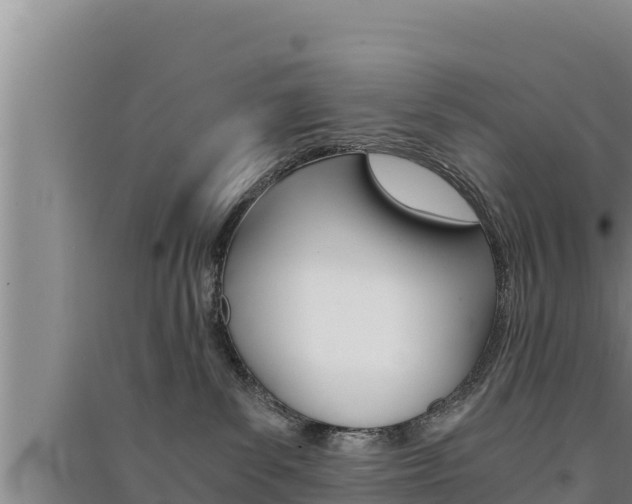 X0000091520139200708171018