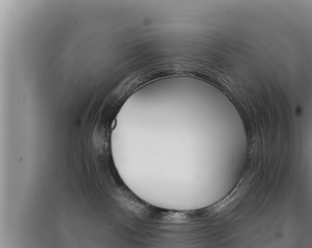 X0000091520140200708171018