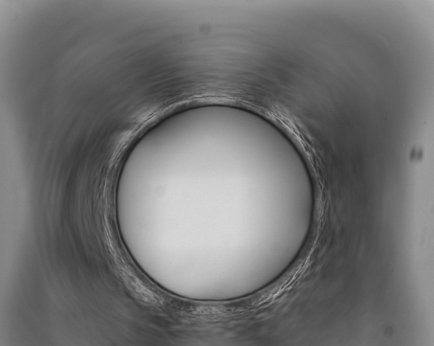 X0000091520145200708171017