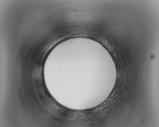 X0000091520146200708171017