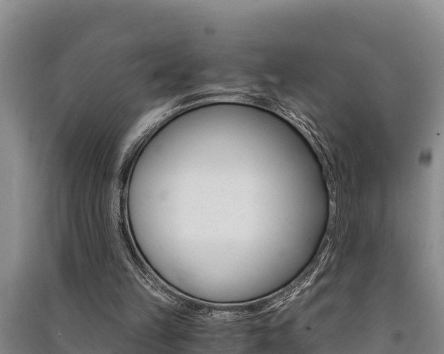 X0000091520149200708171017