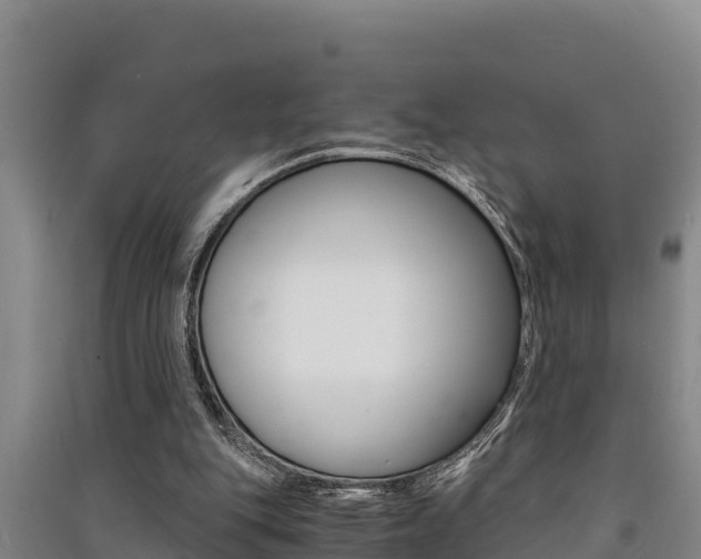 X0000091520151200708171017