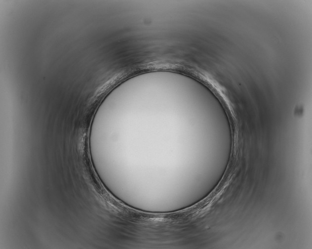 X0000091520153200708171017