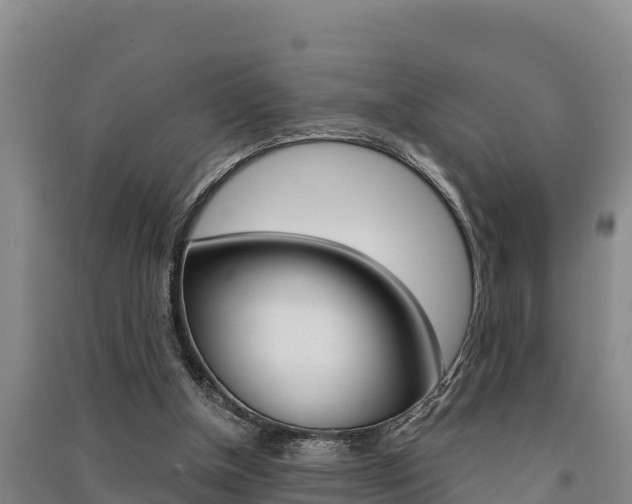 X0000091520154200708171017