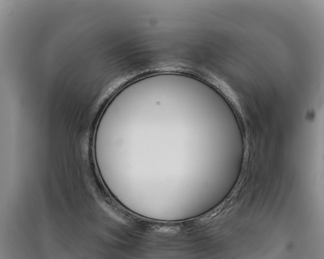 X0000091520155200708171017