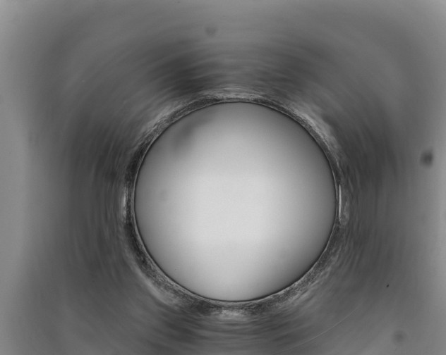 X0000091520157200708171017