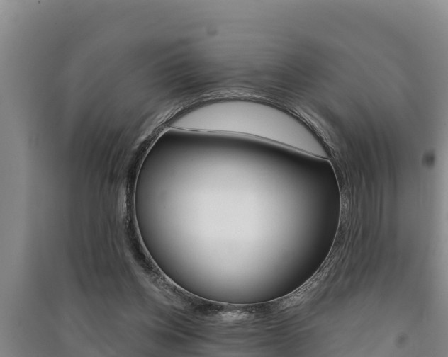 X0000091520158200708171017
