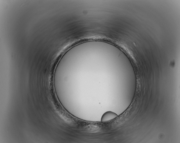 X0000091520159200708171017