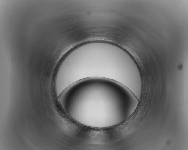 X0000091520160200708171017