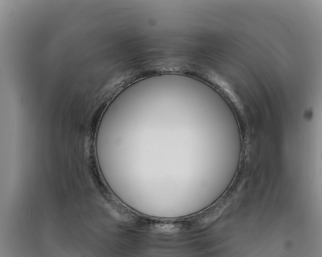 X0000091520161200708171017