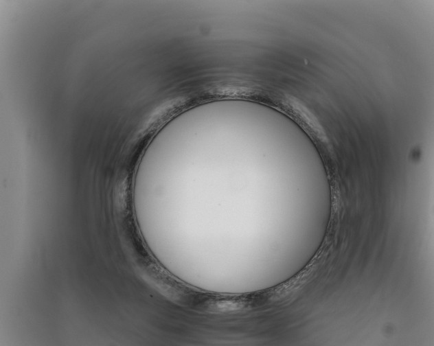 X0000091520163200708171017