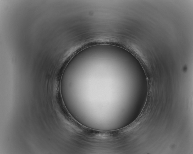X0000091520164200708171017