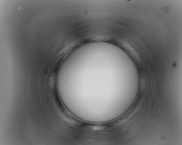 X0000091520165200708171017