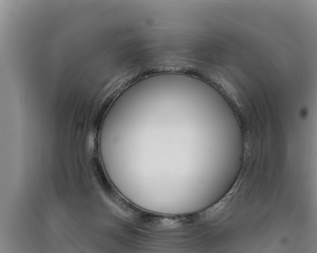 X0000091520166200708171017