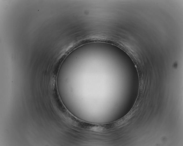 X0000091520168200708171017