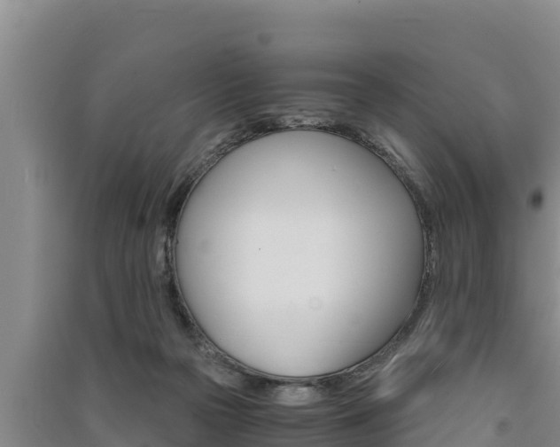 X0000091520169200708171017
