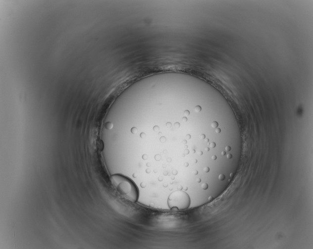 X0000091520171200708171017