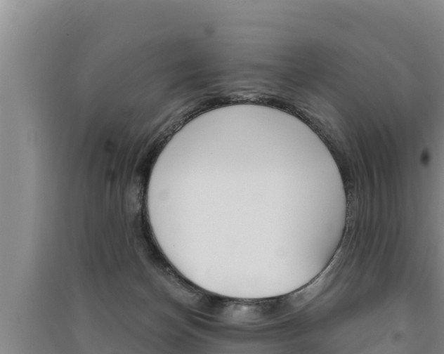 X0000091520174200708171017