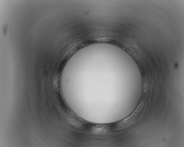 X0000091520175200708171017
