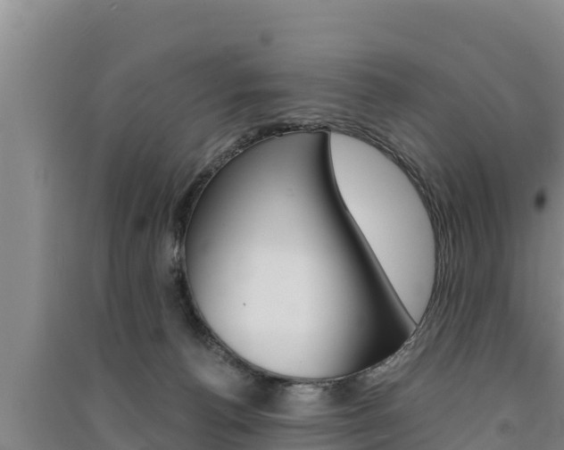X0000091520176200708171017