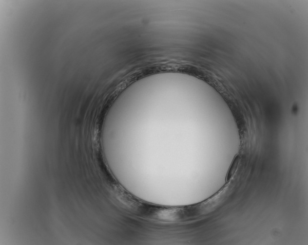 X0000091520178200708171017