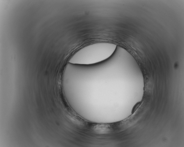 X0000091520179200708171017