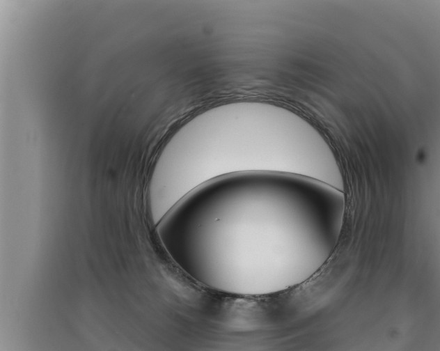 X0000091520180200708171017