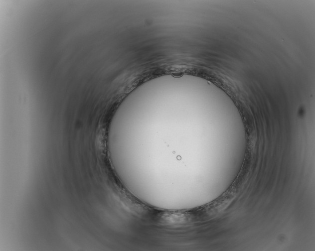 X0000091520181200708171017