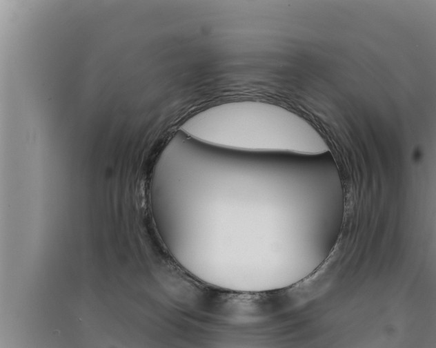 X0000091520182200708171017