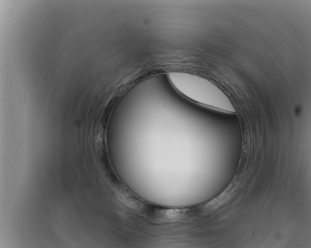 X0000091520184200708171017