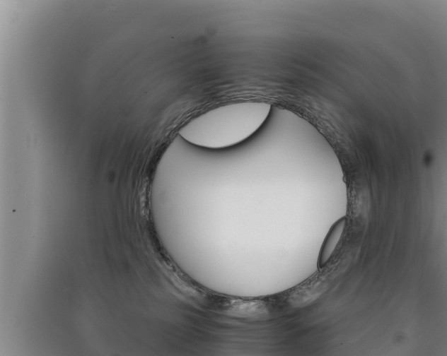 X0000091520185200708171017
