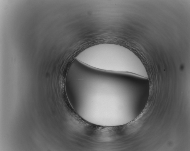X0000091520186200708171017