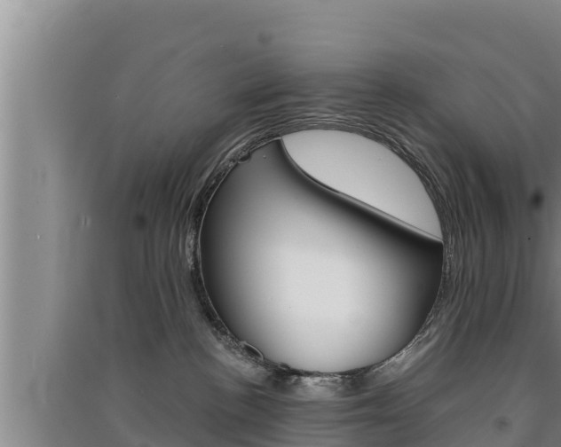 X0000091520188200708171018