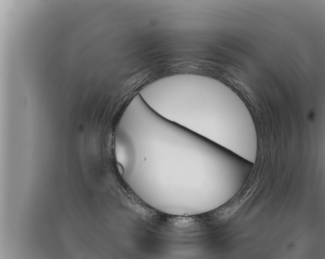 X0000091520189200708171018
