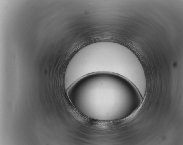 X0000091520190200708171018