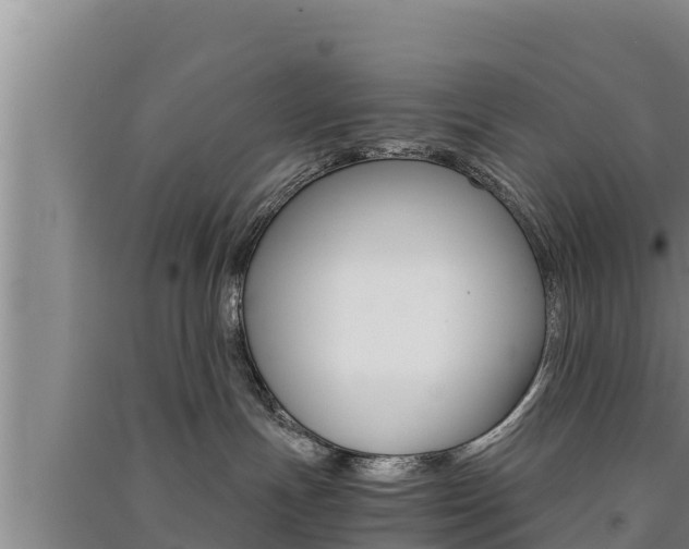 X0000091520191200708171018