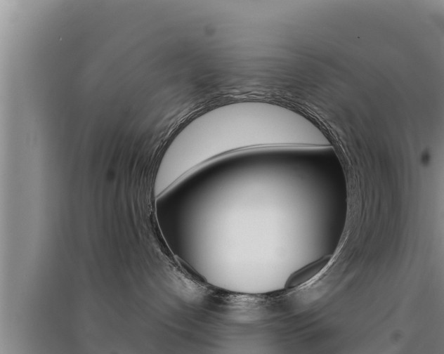 X0000091520192200708171018