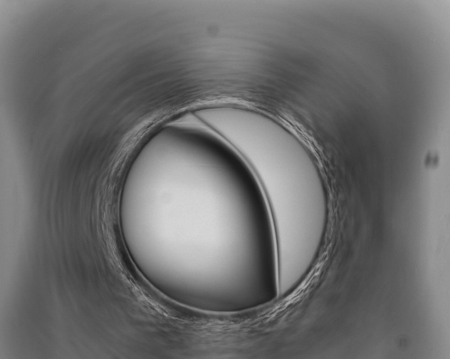 X0000091520193200708171017