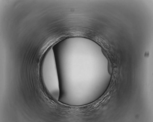 X0000091520194200708171017