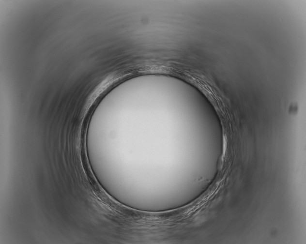 X0000091520195200708171017