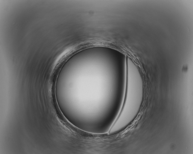 X0000091520197200708171017