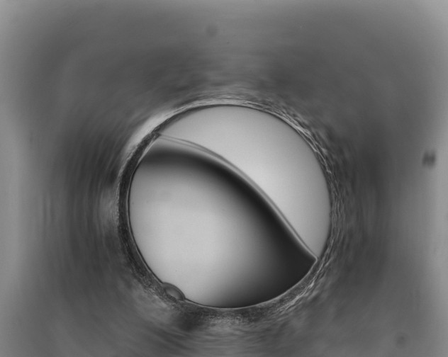X0000091520200200708171017