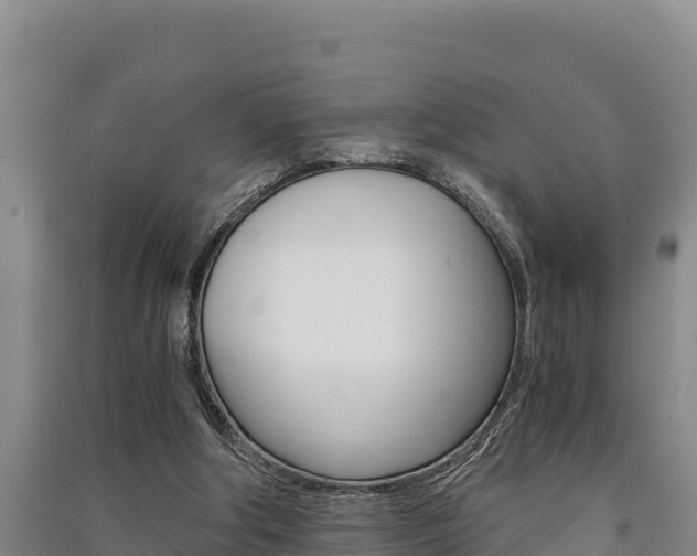 X0000091520202200708171017