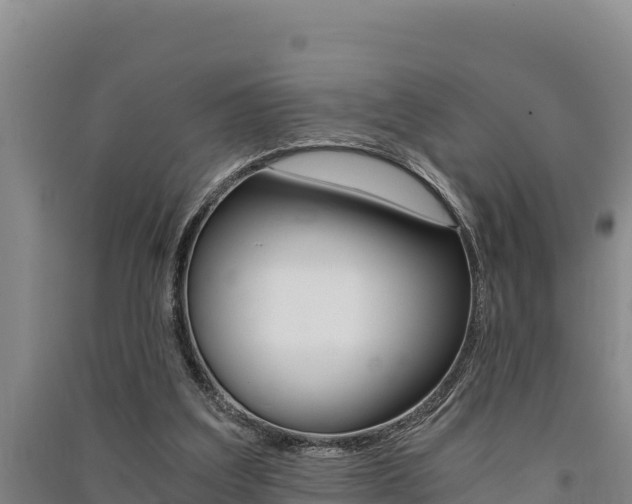 X0000091520203200708171017
