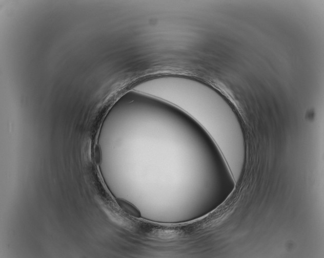 X0000091520205200708171017