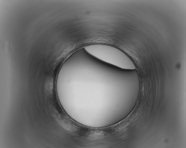 X0000091520206200708171017