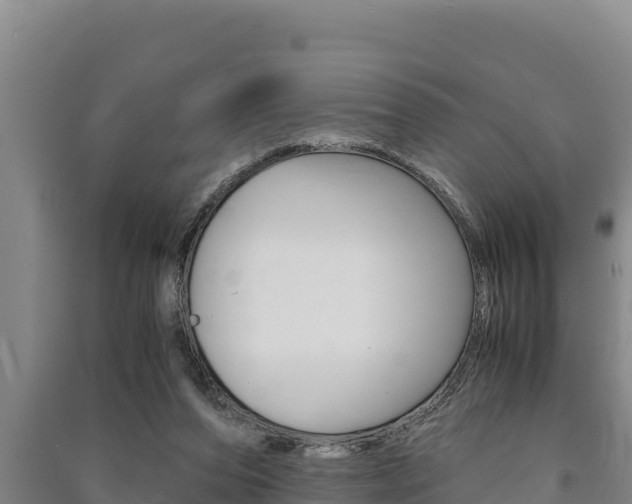 X0000091520208200708171017