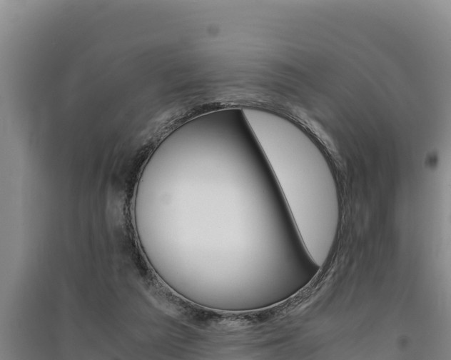 X0000091520209200708171017