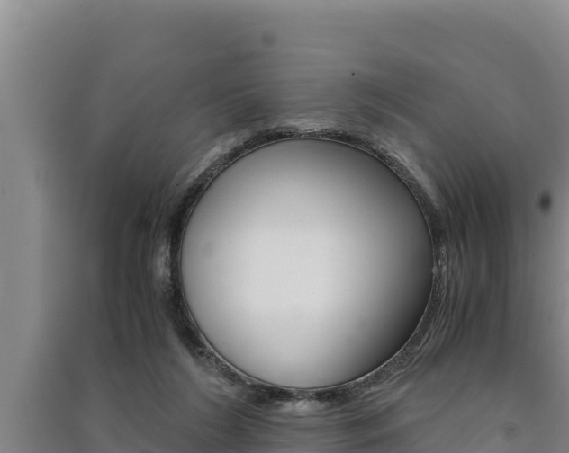 X0000091520212200708171017